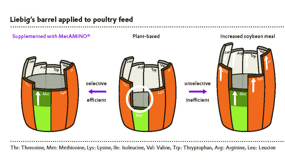 Figure 2: Liebig's barrel illustrates the usefulness of targeted amino acid supplementation.