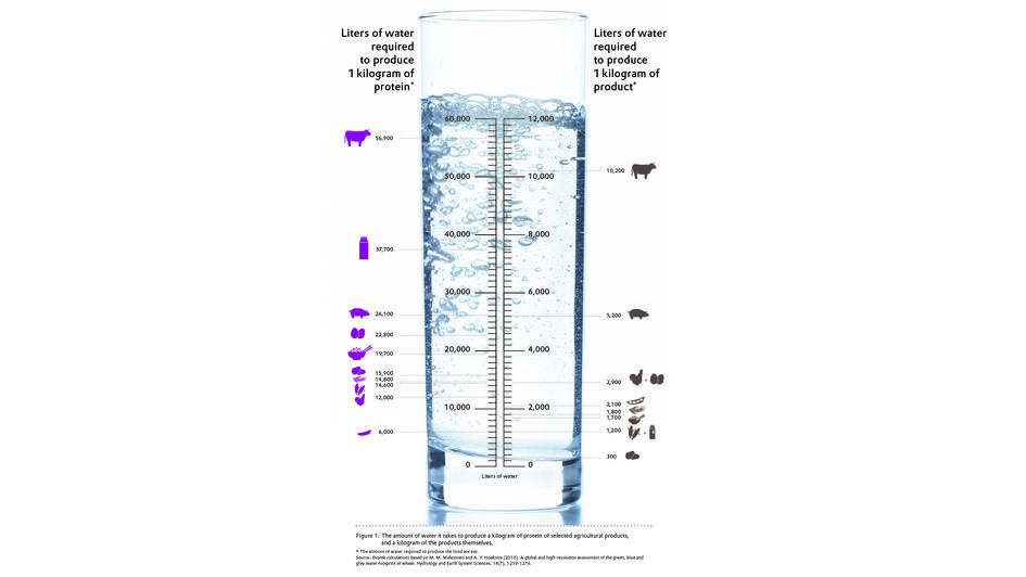 Figure: The amount of water it takes to produce a kilogram of protein of selected agricultural products, and a kilogram of the products themselves.