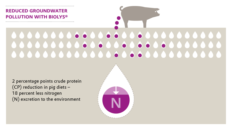 Reduced groundwater pollution with Biolys®