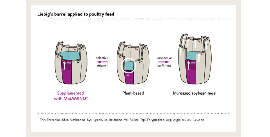 Save money, boost animal health and cut down emissions with precise amino acid calculations.