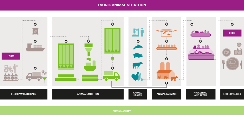 Livestock farming solutions from farm to fork.