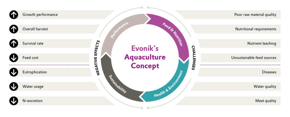 Evonik's Aquaculture Concept